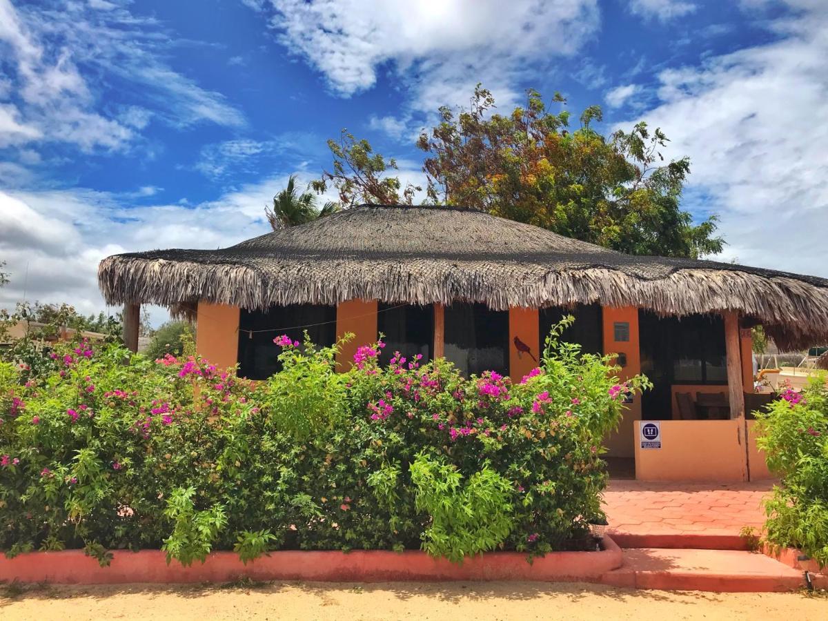 Bungalows Cabo Pulmo Esterno foto